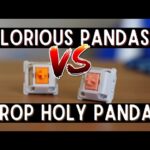 Glorious Panda vs Holy Panda