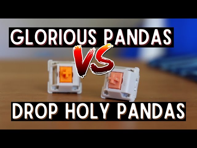 Glorious Panda vs Holy Panda